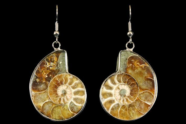 Fossil Ammonite Earrings - Million Years Old #142852